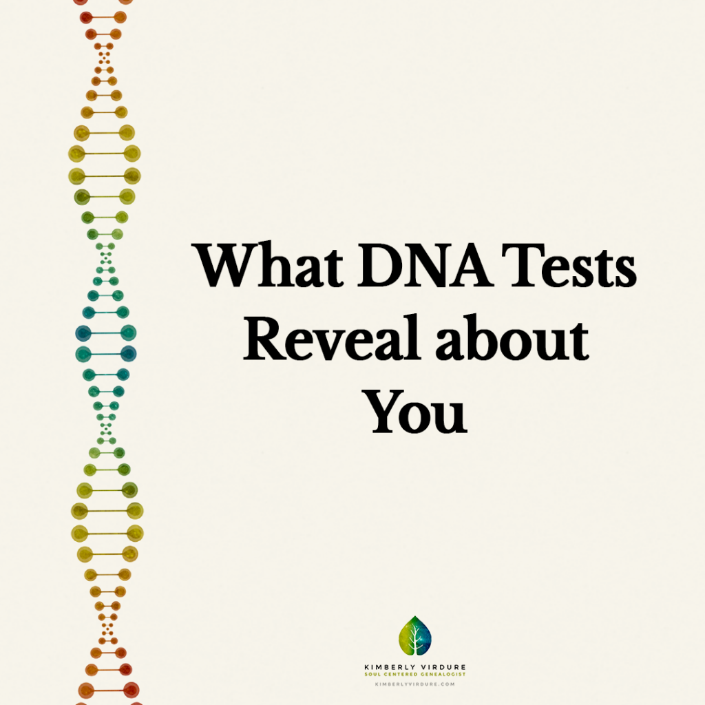 How Your Family Tree Brings Your DNA To Life | Kimberly Virdure: Life ...